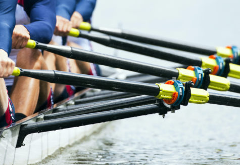 Close-up of a rowing team synchronizing their strokes on the water during a race